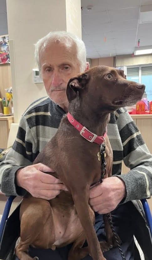 Tiziana Allasia tweet media