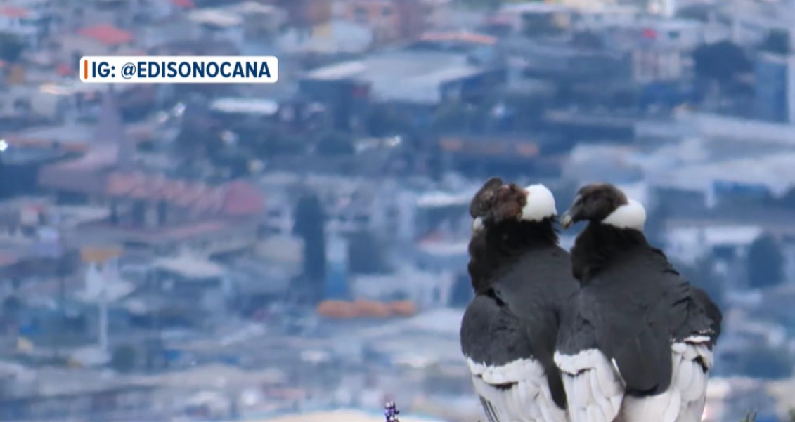 LaHistoria tweet media