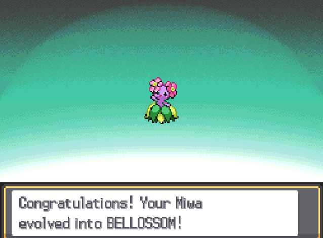 Yomu Miwa🏳️‍⚧️ tweet media