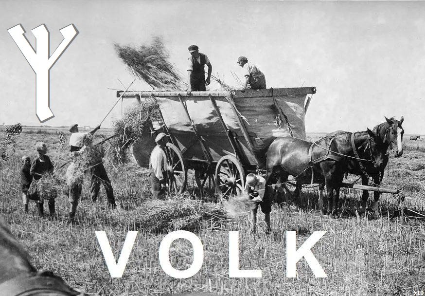 PURE BLOOD HEATHEN tweet media