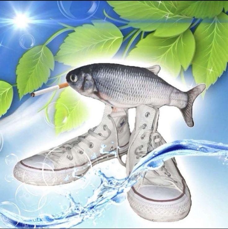 fishious tweet media