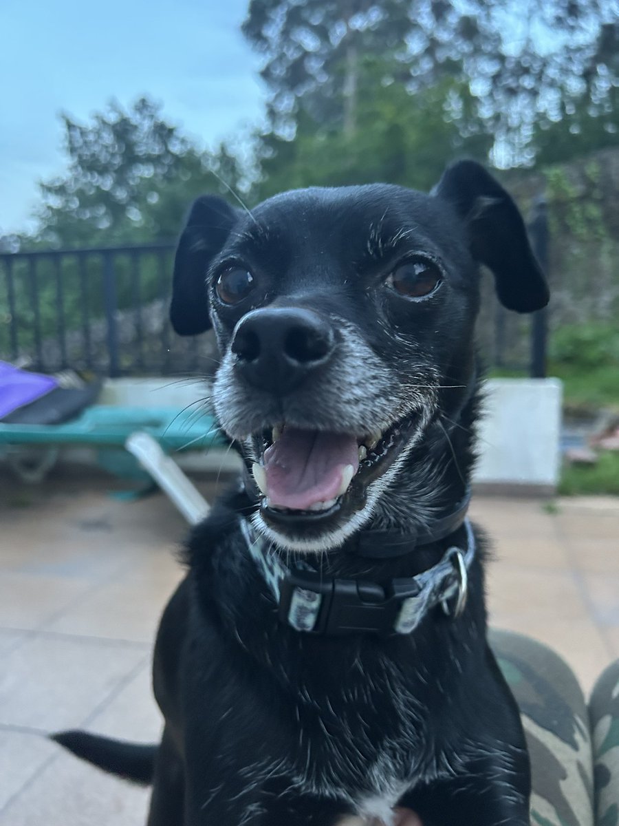 marta 𓆩❤︎𓆪 tweet media