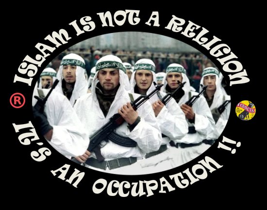 NovemberRain243's tweet photo. @IslamInvasion https://t.co/fPucKDkOjT
