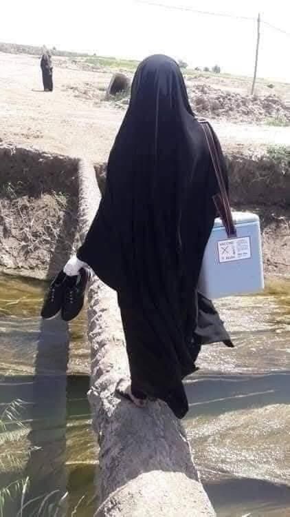 walaahameed1971 tweet media