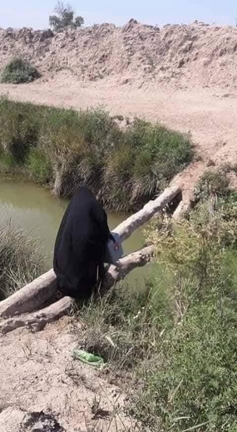 walaahameed1971 tweet media