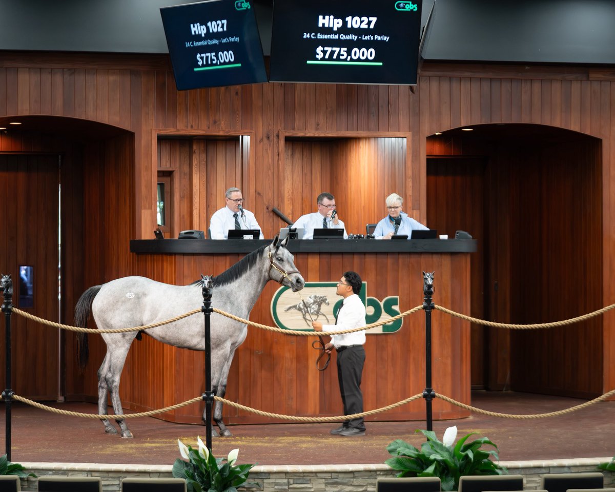 Marquee Bloodstock Agency tweet media