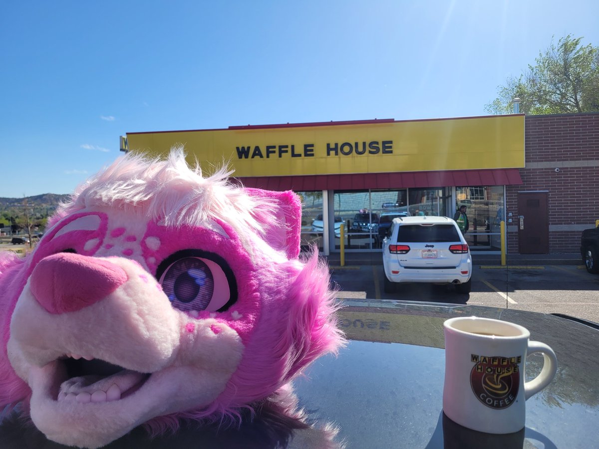 Domino🛢 tweet media