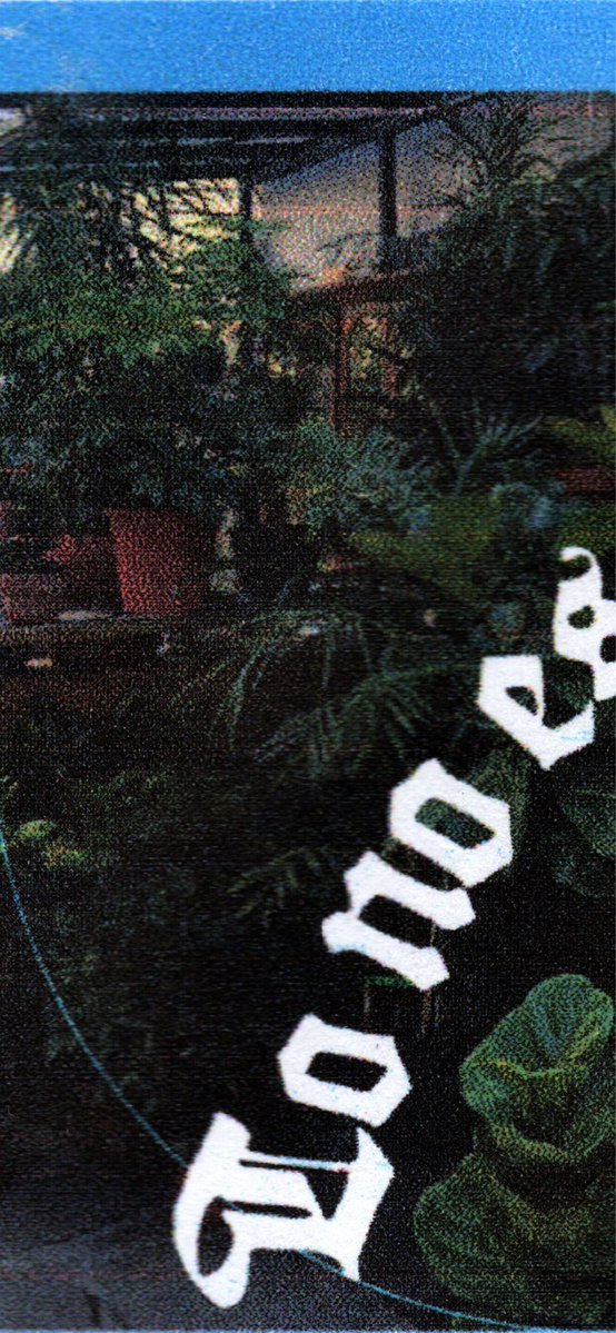 Camo tweet media