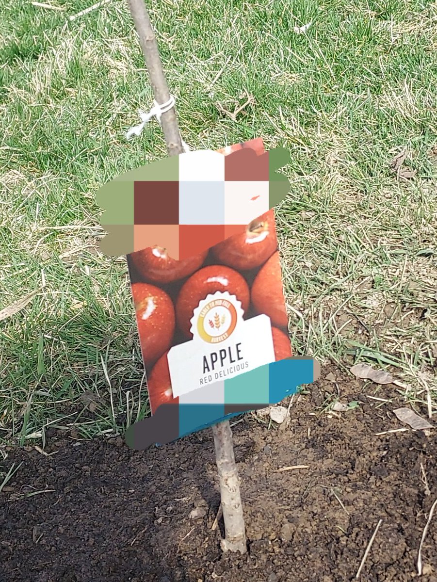 RightsWatchTV tweet media