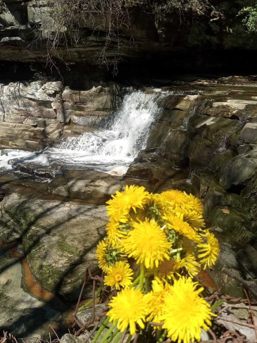 Charles.e.Mc$hane tweet media