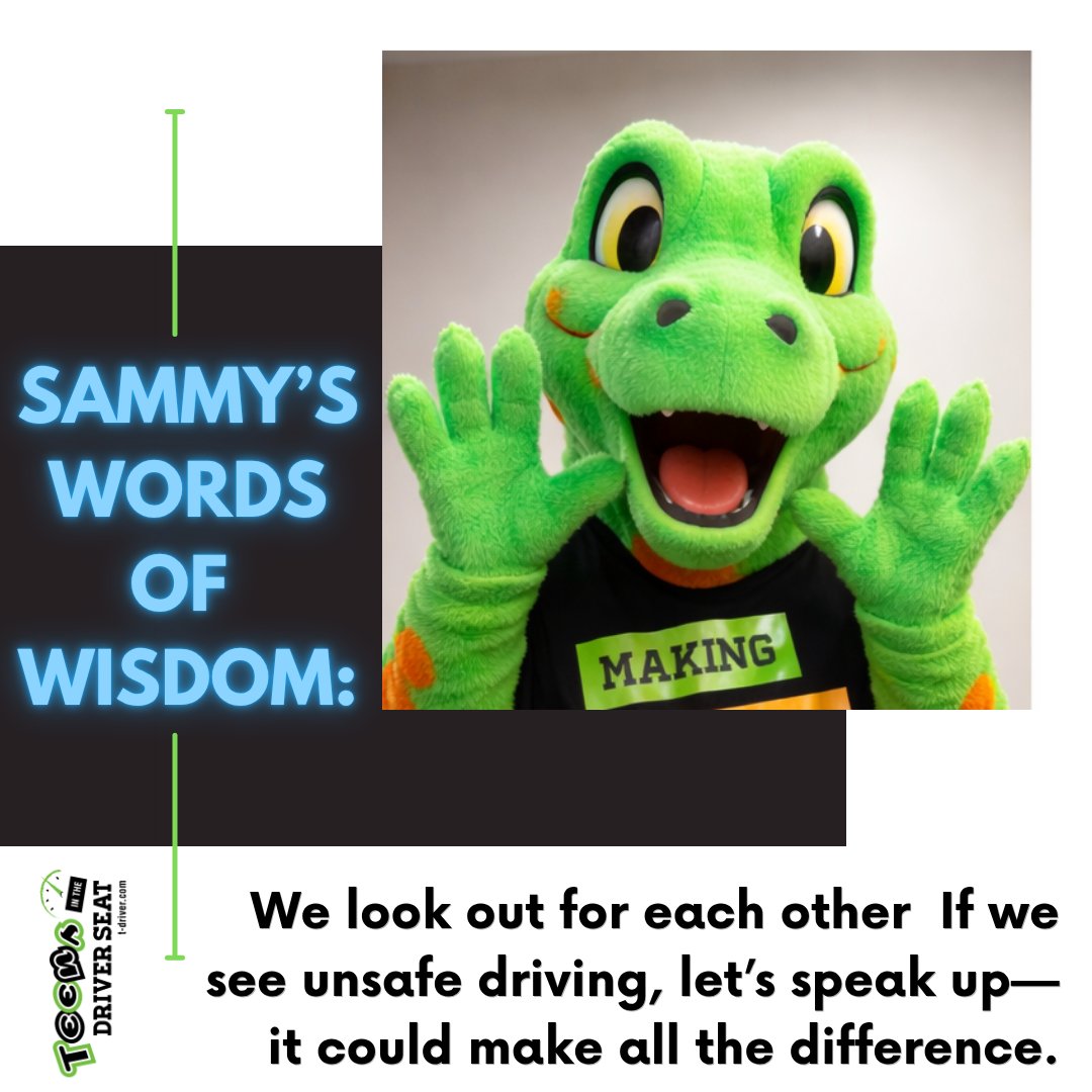 TeensDriverSeat tweet media
