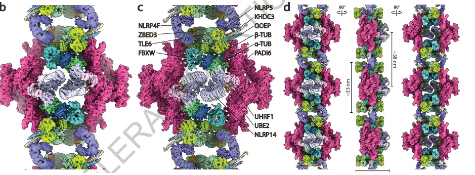 Edward Grow, PhD tweet media