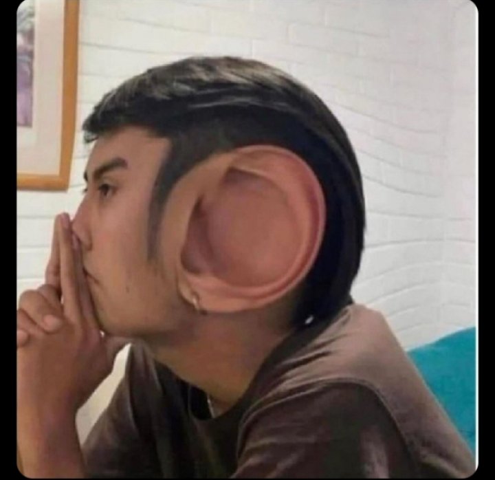 Assørted tweet media