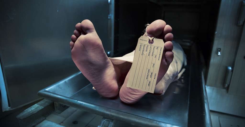 Planetes360 tweet media