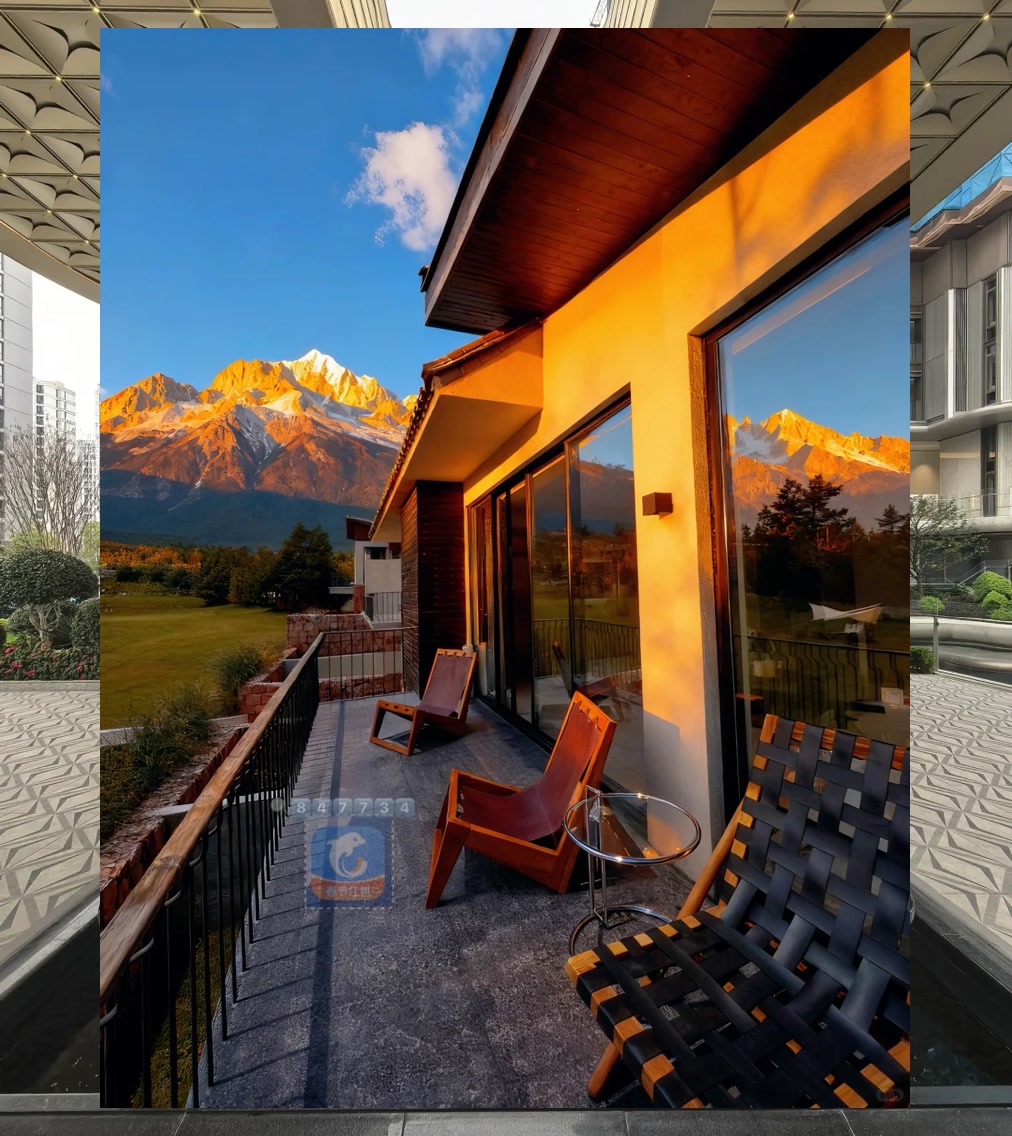 Matthew Collard tweet media