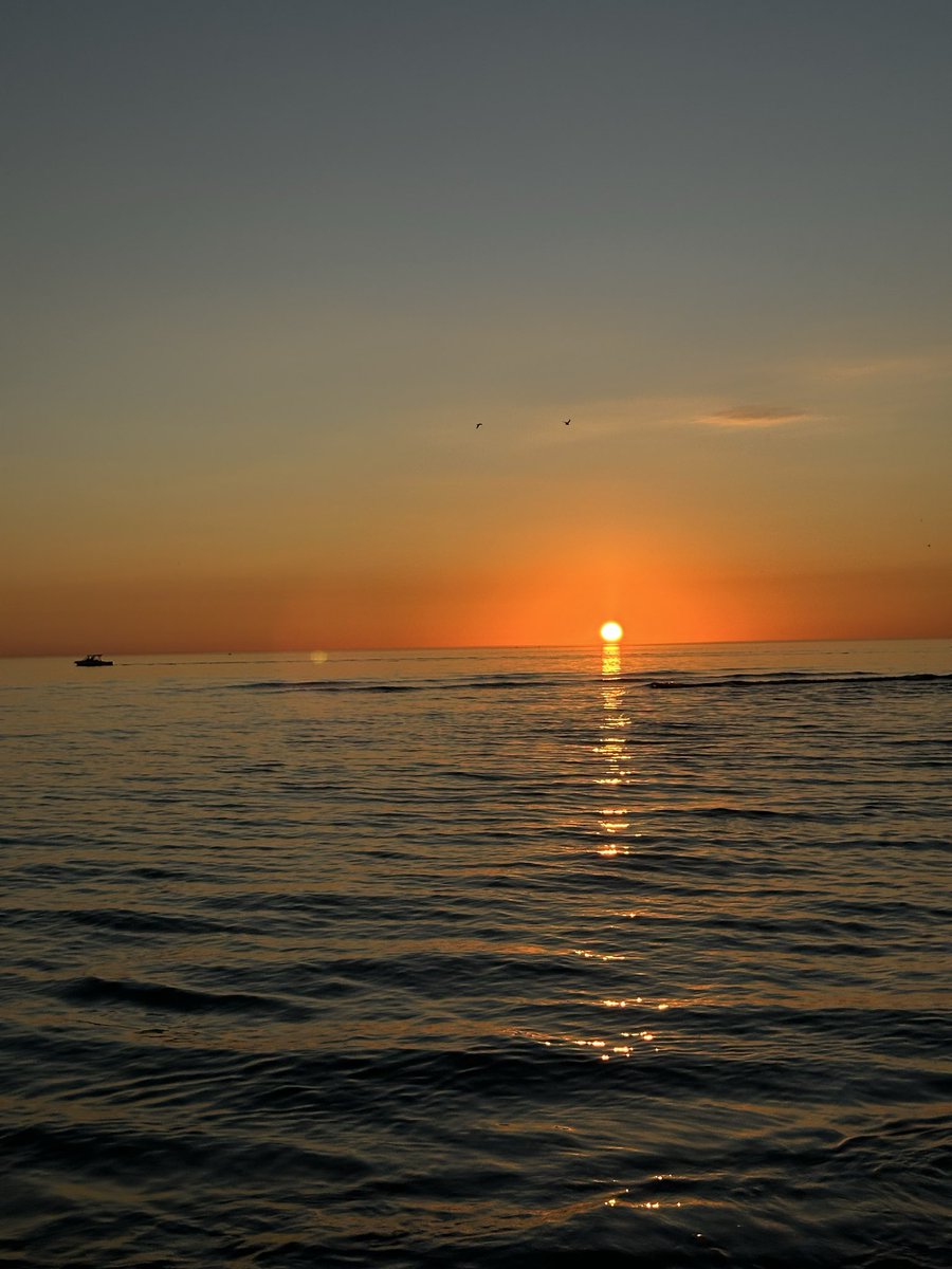 Heisenberg هایزنبرگ 🎒 tweet media