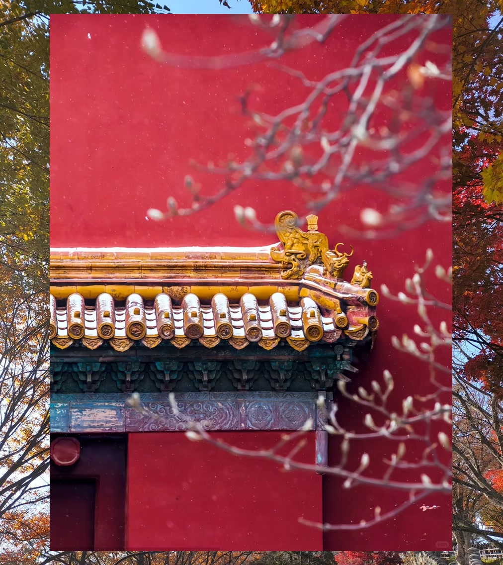 Jennifer Allen tweet media