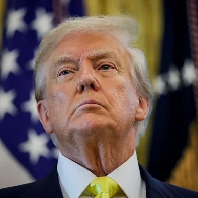 Brasil Alternativo tweet media