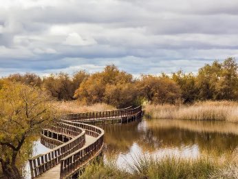 scientiasnet tweet media