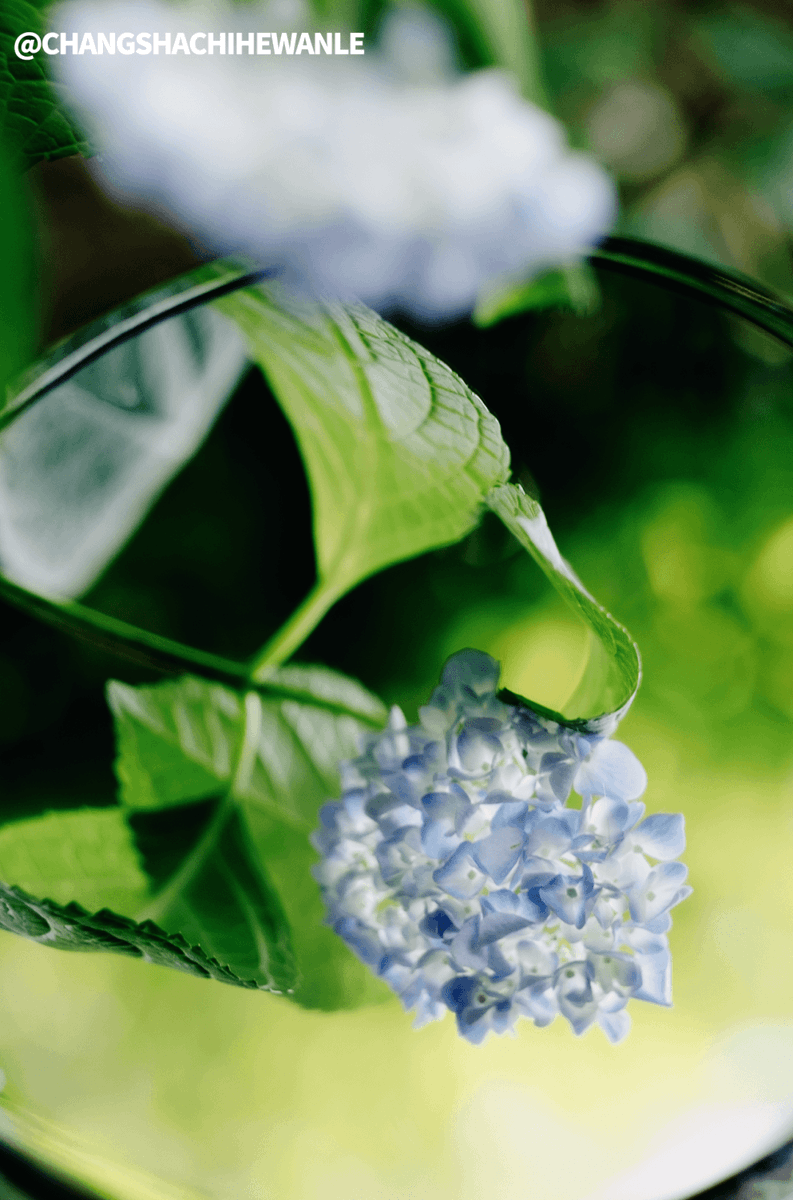 Karoliina Pärnänen tweet media