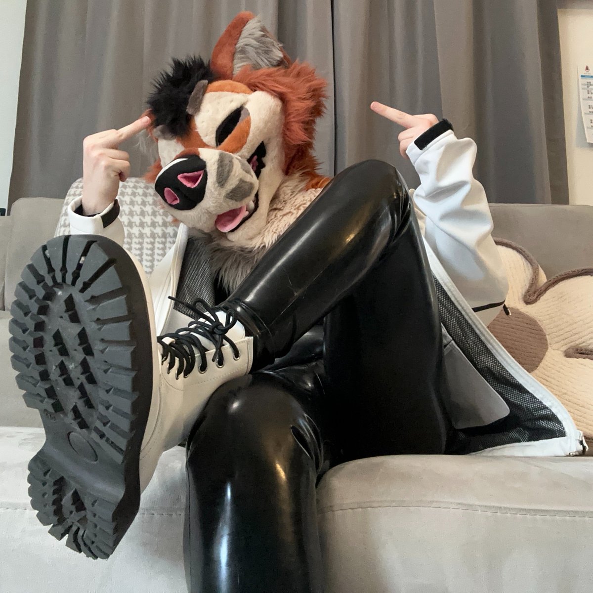 AnnoyedJackal tweet media