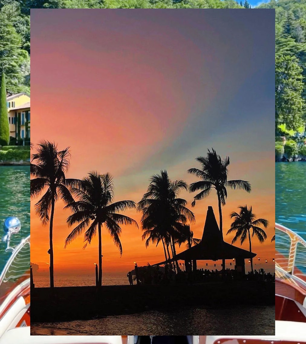 Bryan Castillo tweet media