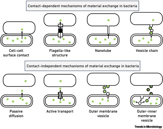 Trends in Microbiology tweet media