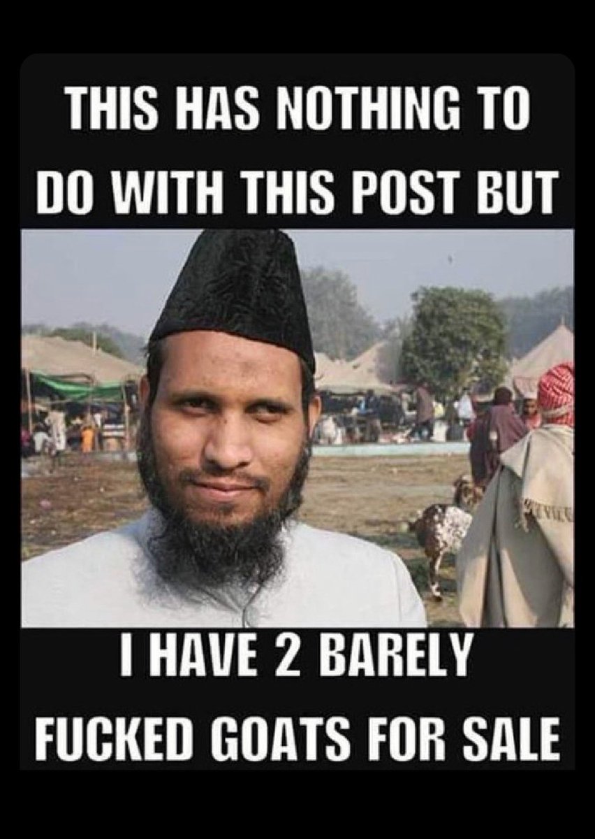 Melanie Schmidke tweet media