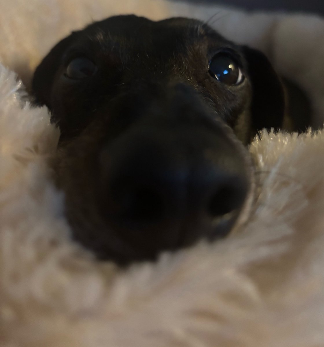 - (@sofiajhasan) on Twitter photo 