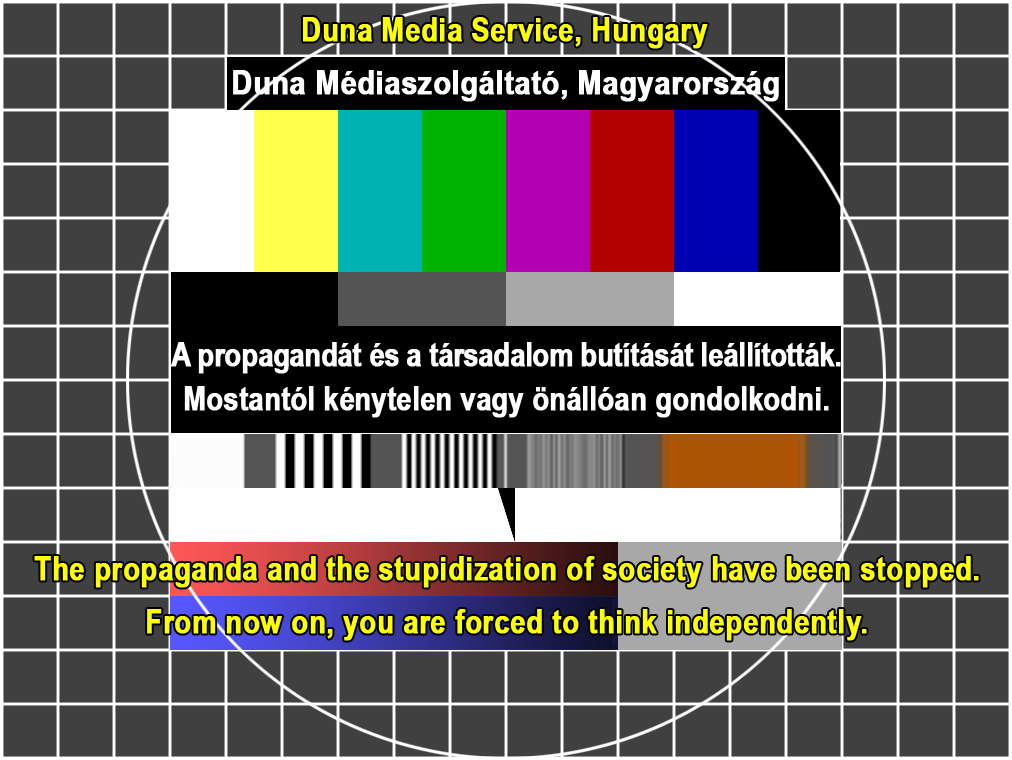 Tom Zalaznik tweet media