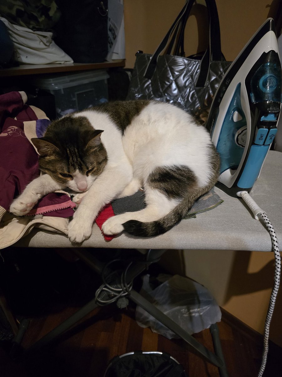 Almighty Janitor tweet media