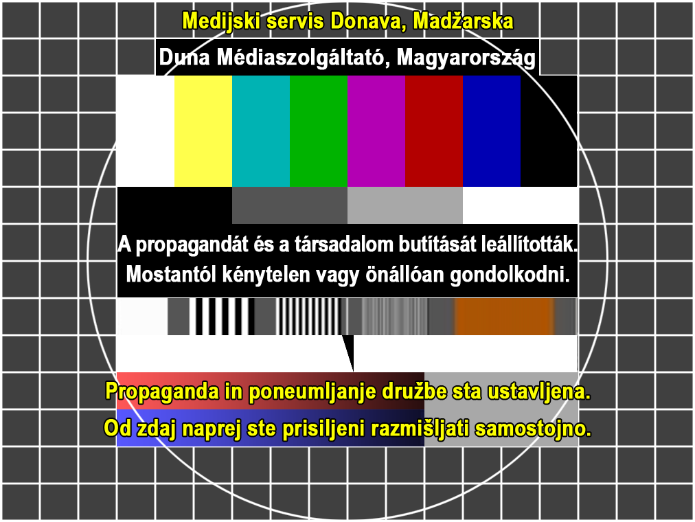 Tom Zalaznik tweet media