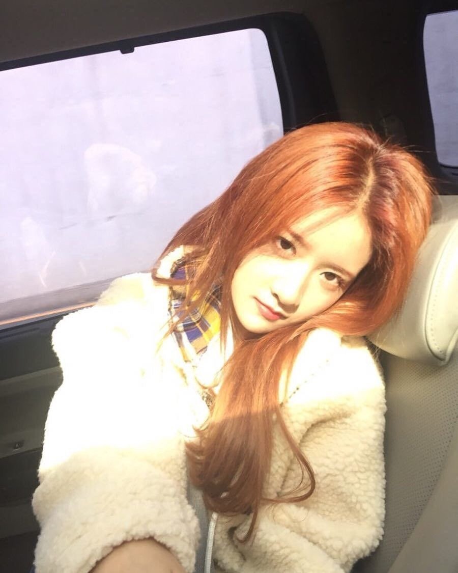 wjsn old pics tweet media