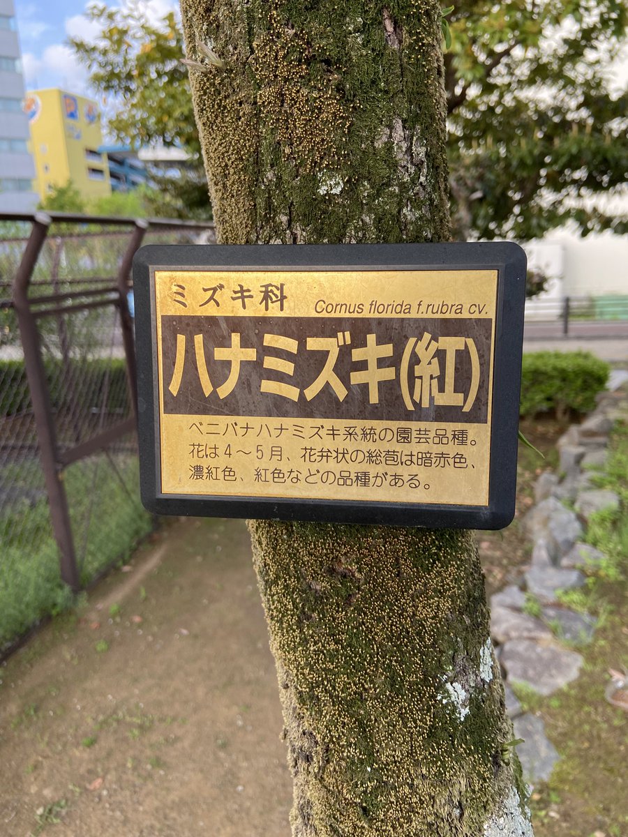 🐘もんじろう🦣 tweet media