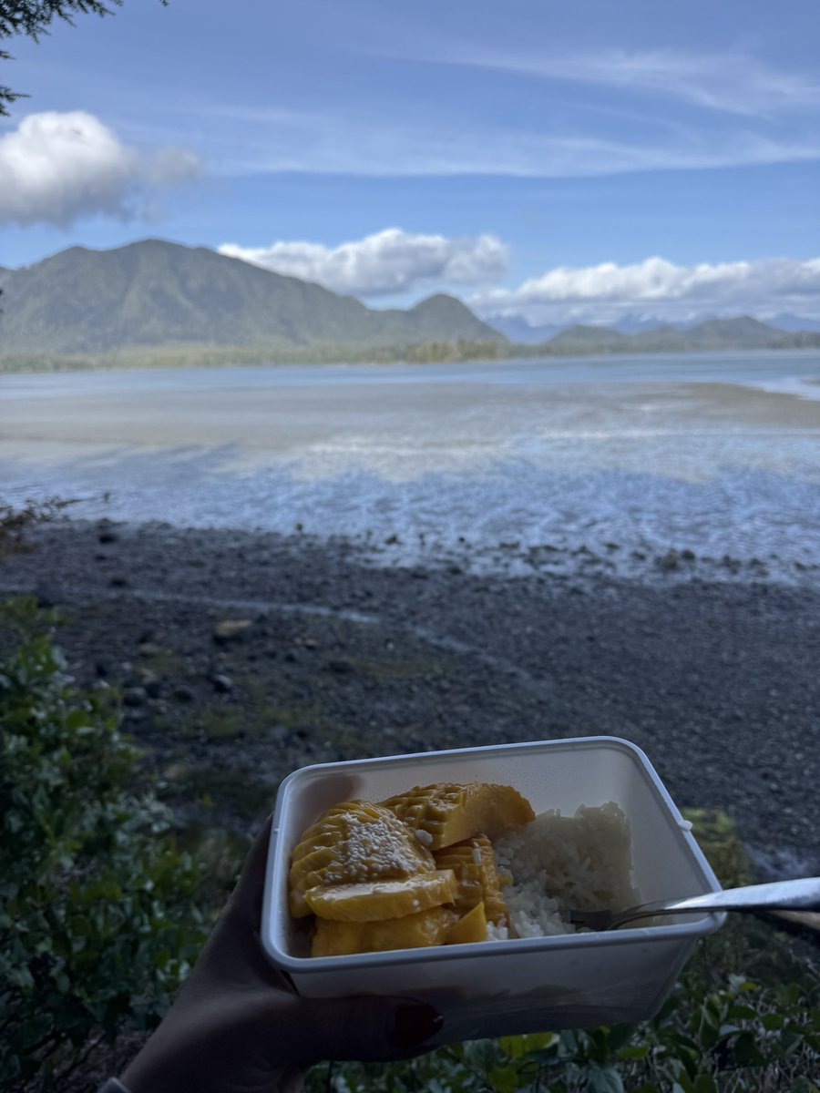 mom of finland tweet media