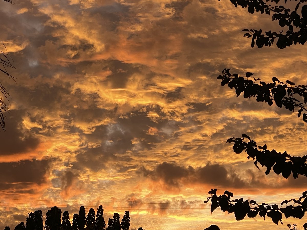 Qué lindo se viene este atardecer otoñal 😍