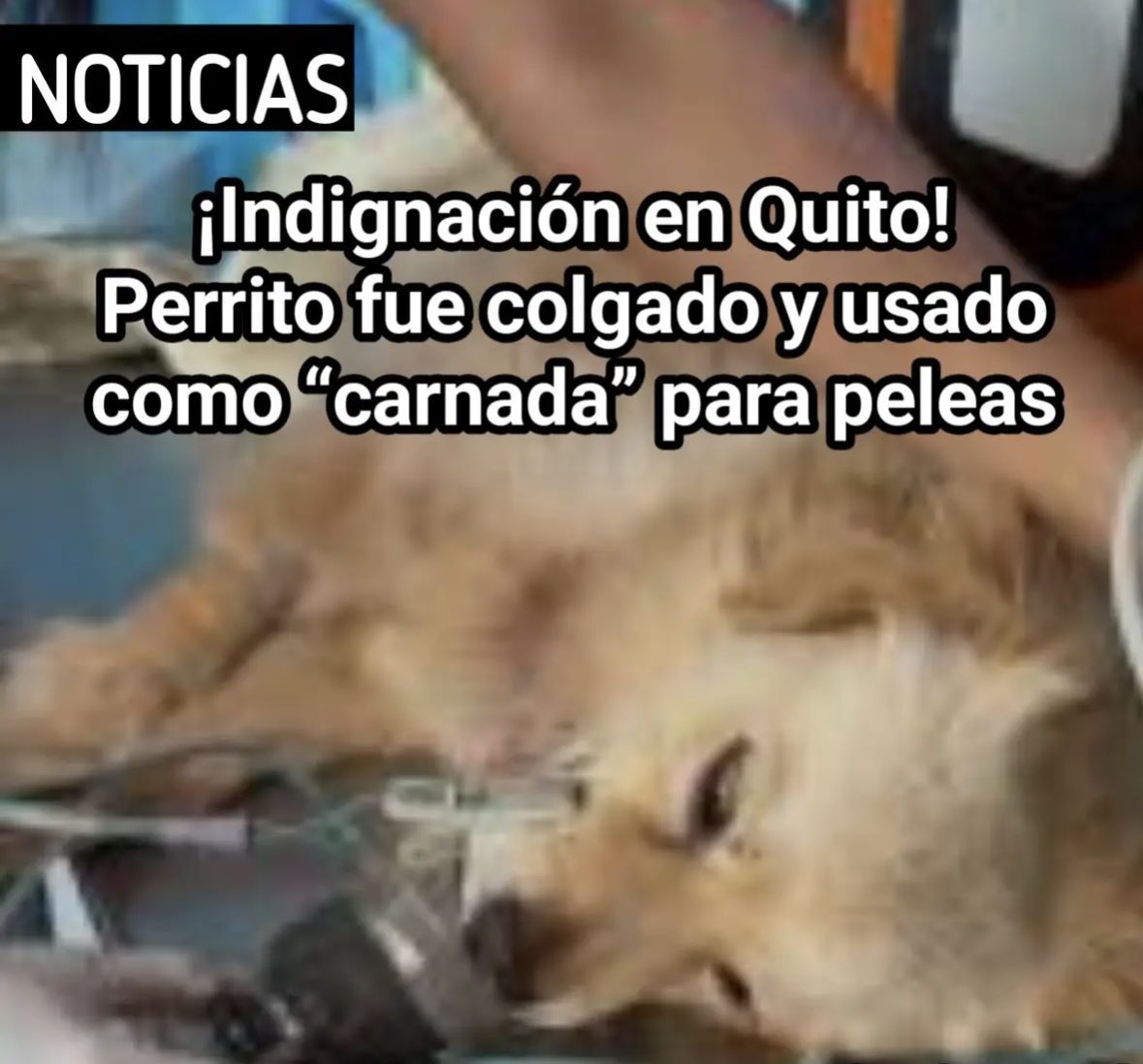 Alexandra🌞 tweet media