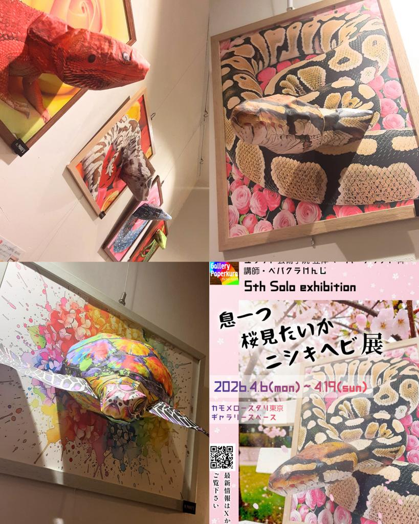 paperkura2021's tweet photo. 亀有アートカフェ「カモメロースタリ東京」様 @kamome_roastery にて開催中のペパクラけんじ個展
「息一つ桜見たいかニシキヘビ展」は明日まで開催中です！😁
お近くの方は是非お立ち寄り下さいませ😆
#亀有 #ニシキヘビ https://t.co/AoTRFx8HMI