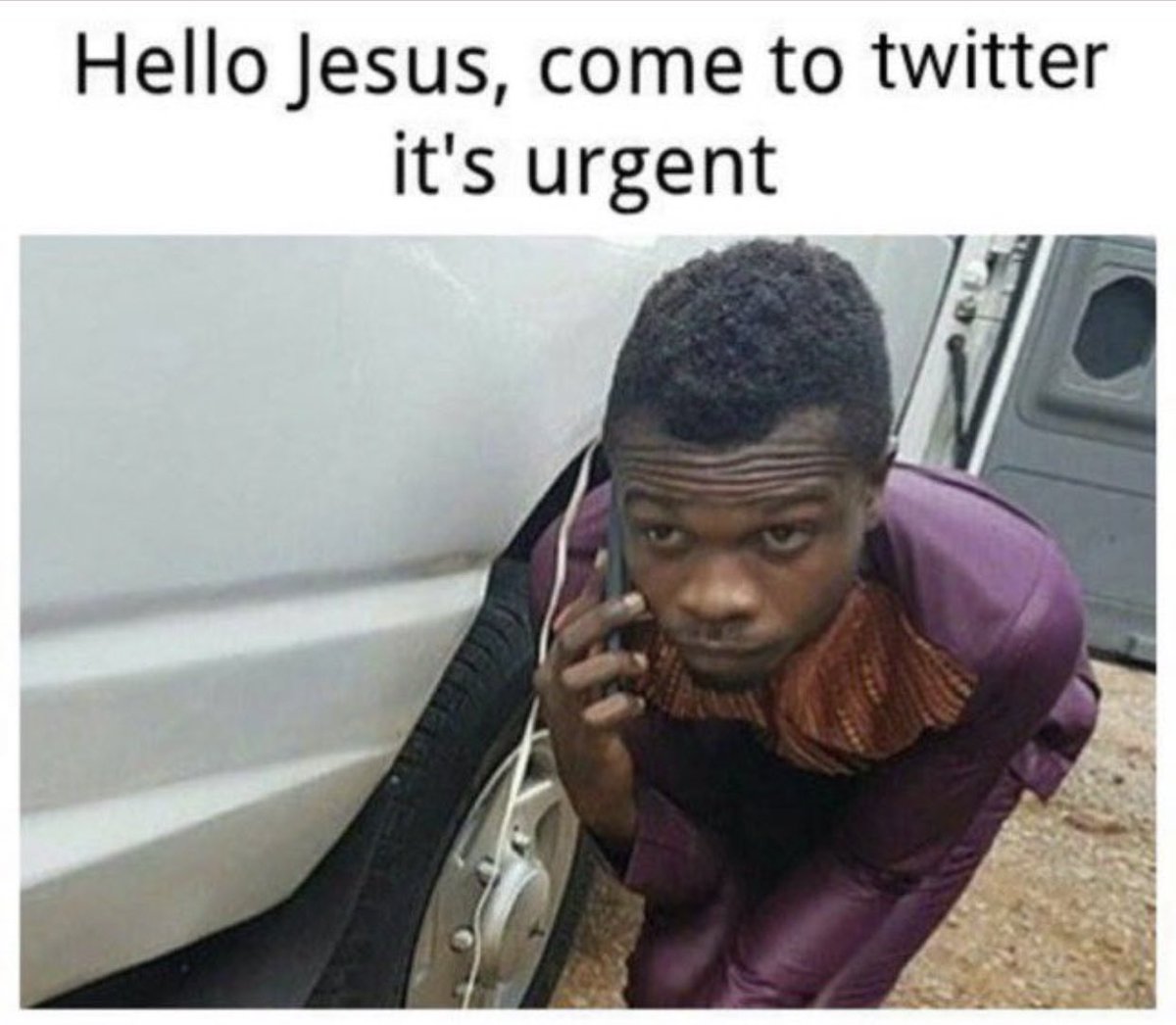 T⭕️ny tweet media