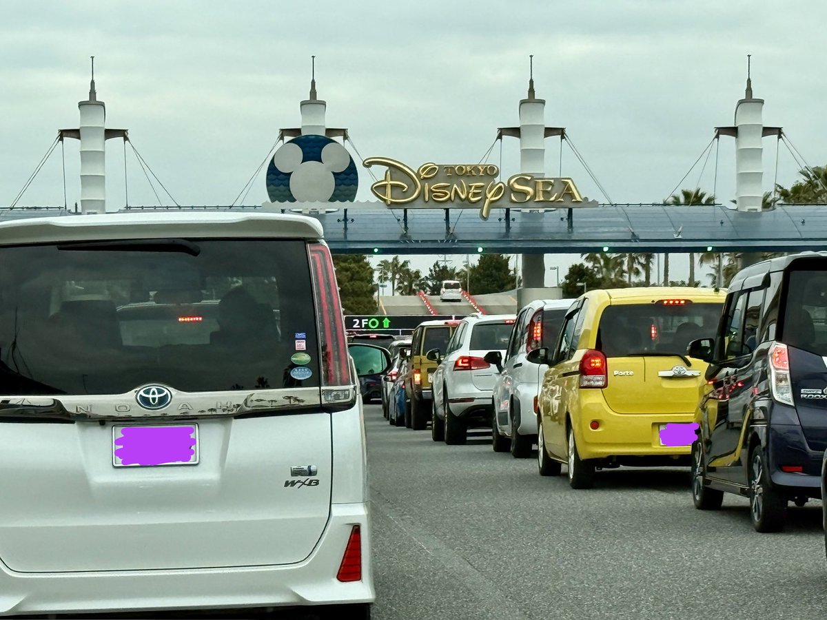 ⛩𓆏͙•͙͙ も❂り= ͟͟͞͞ 🪷❁⃘*.ﾟ tweet media