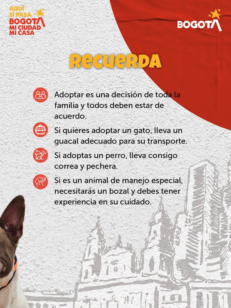 ¡El amor por los animales es la conexión que nos une!🐶😽

Mañana sábado ven a la Jornada de Adopción en el Parque vecinal Banderas y descubre el amor de un perro o gato rescatado.

📅 Sáb. 18 de abril
📍 Parque vecinal Banderas
🕚 11a.m. - 4p.m.

Adoptar es amar sin condiciones.