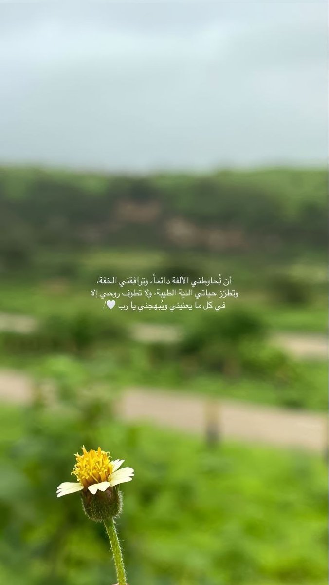 bdrihs24's tweet photo. #وش_يحتاج_خاطرك https://t.co/JQGA01lqcc