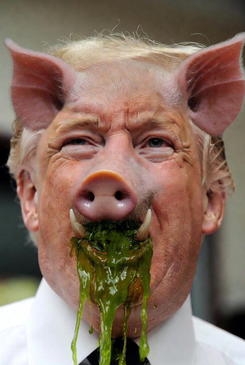 NoNeed ForAName tweet media