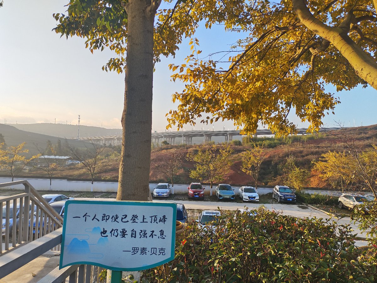 grazy camacho tweet media