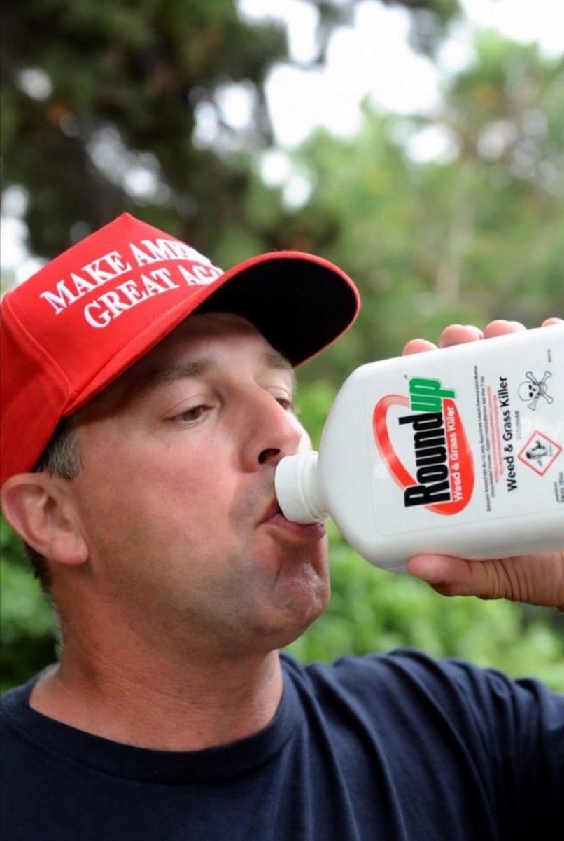 Todd Hall tweet media