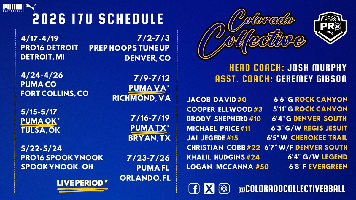 Colorado Collective Basketball tweet media