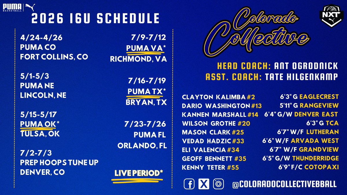 Colorado Collective Basketball tweet media