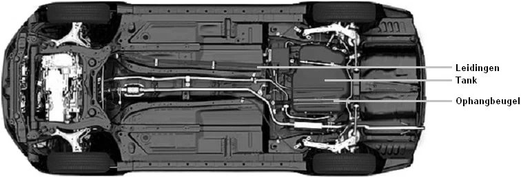 The Frankish wolf tweet media