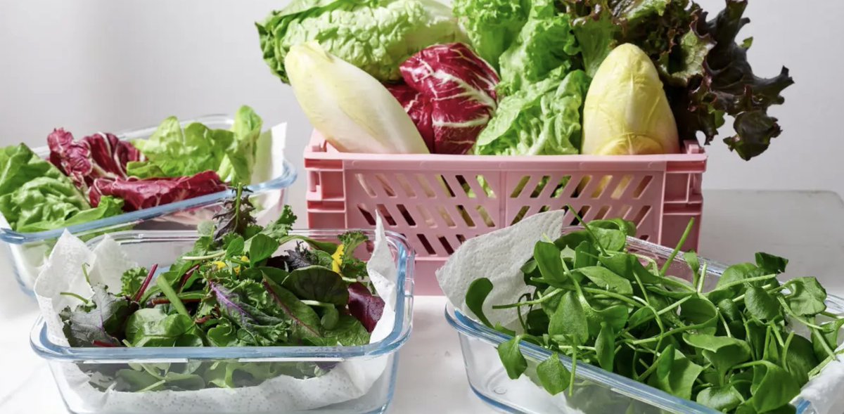 animalgourmet's tweet photo. #TipDeCocina: ¡Toma nota! Te digo cómo identificar y aprovechar al máximo en tus recetas los diferentes tipos de lechuga. 🥬 🌱
https://t.co/EeZvho5sGs https://t.co/sUibAaTU4I