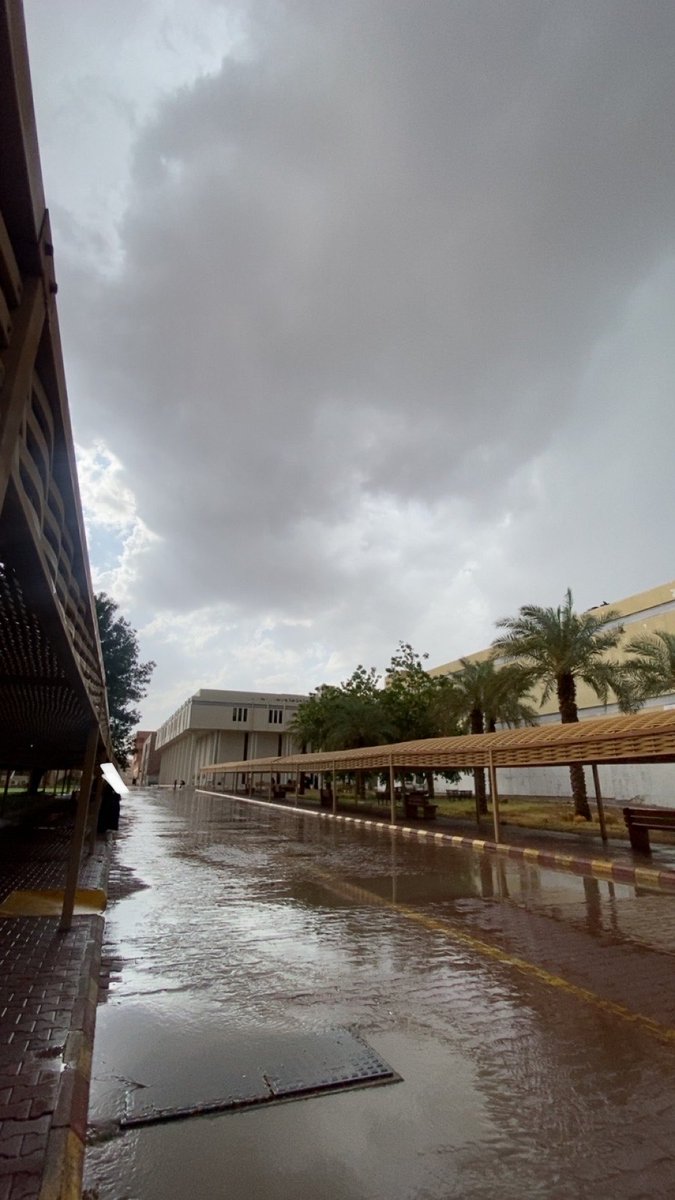 Jumanah khaled tweet media